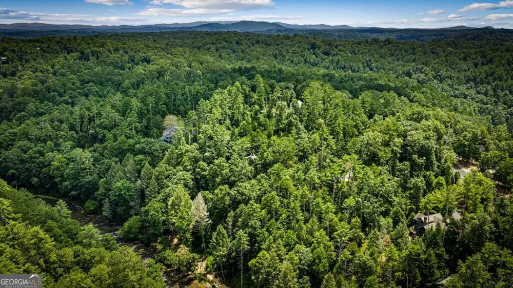 40 Varix CT Ellijay, GA 30540