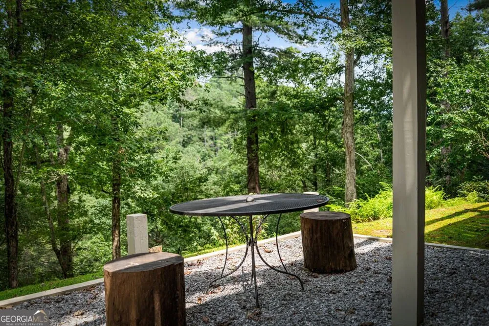 40 Varix CT Ellijay, GA 30540