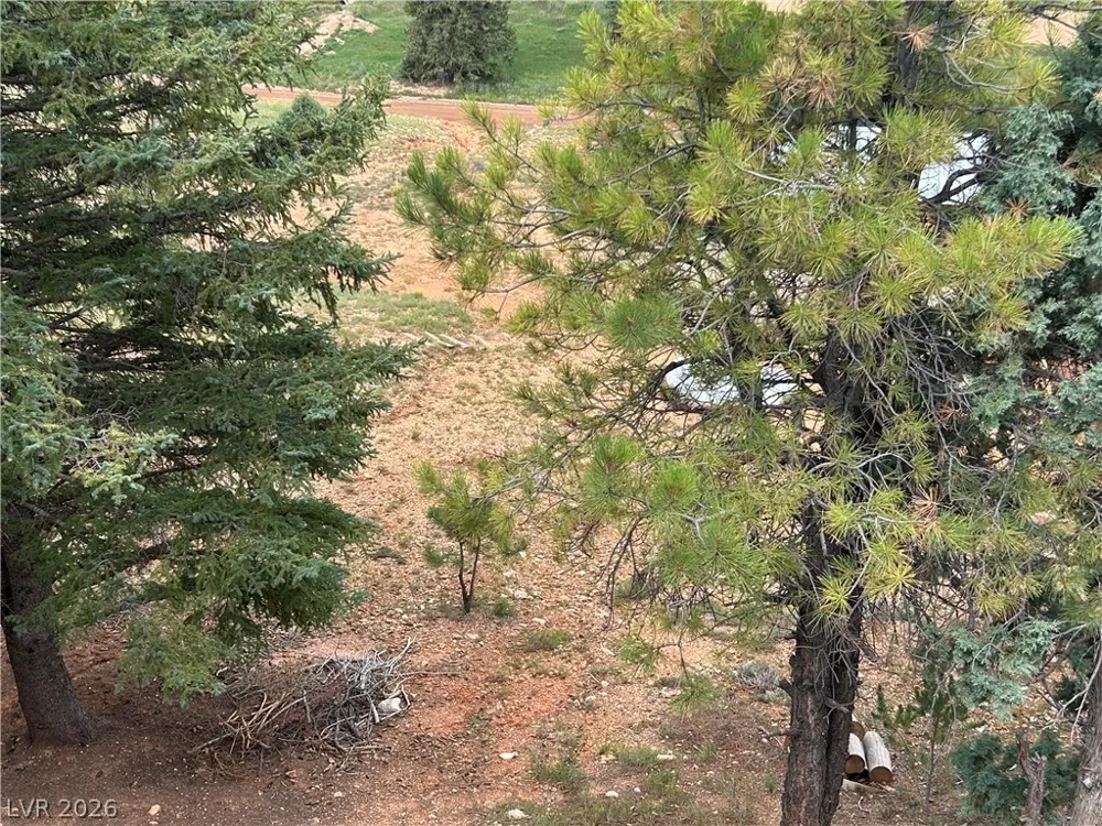 695 Skyline View Drive Duck Creek Village, UT 84762