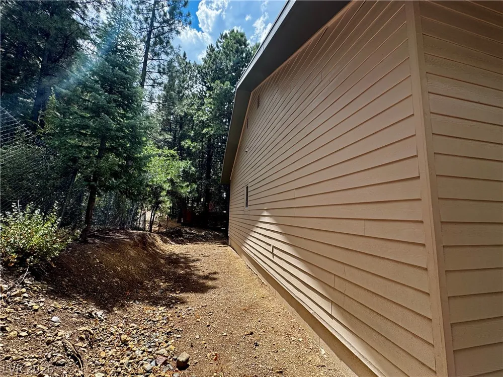 314 Alpine Way Mount Charleston, NV 89124