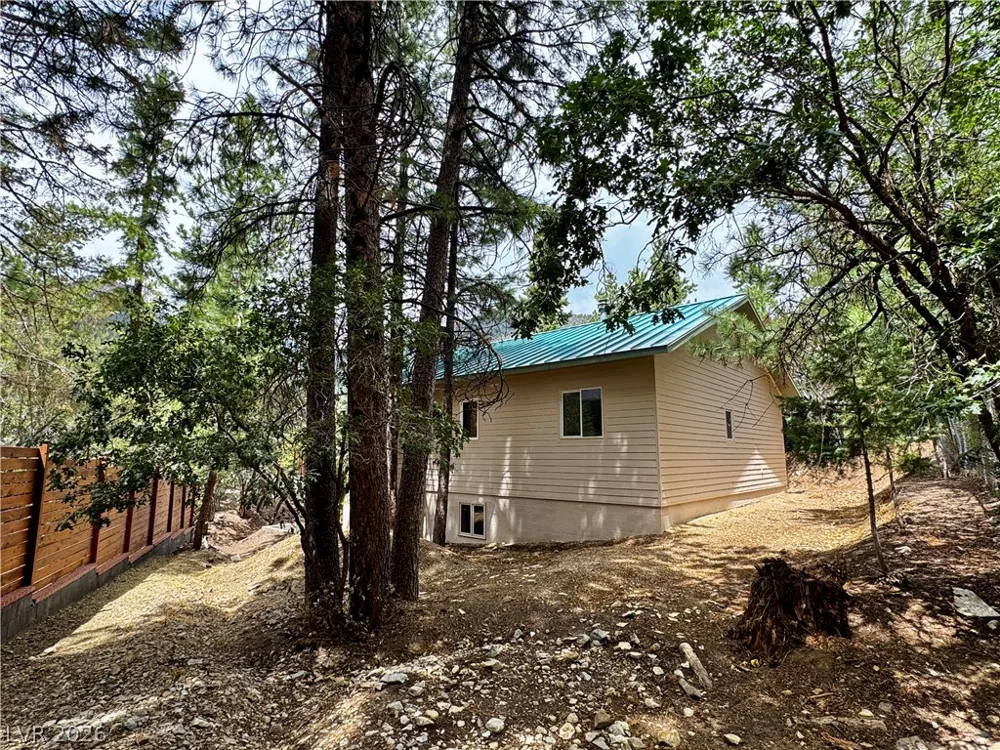 314 Alpine Way Mount Charleston, NV 89124