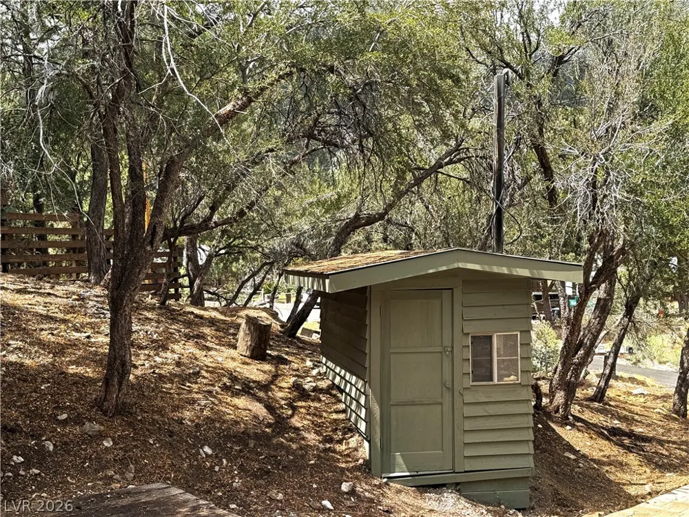 314 Alpine Way Mount Charleston, NV 89124