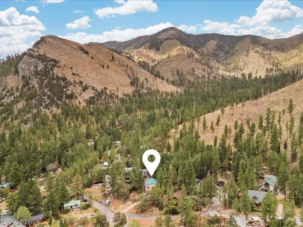 314 Alpine Way Mount Charleston, NV 89124