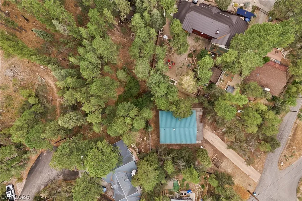 314 Alpine Way Mount Charleston, NV 89124