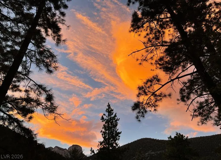 314 Alpine Way Mount Charleston, NV 89124