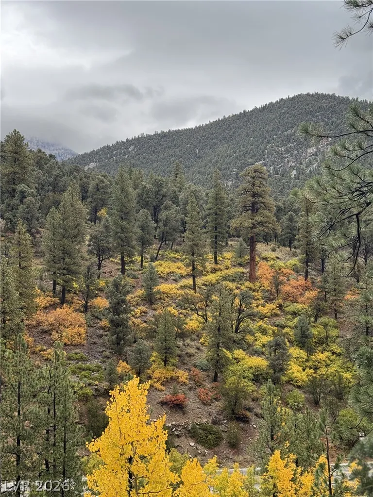 314 Alpine Way Mount Charleston, NV 89124