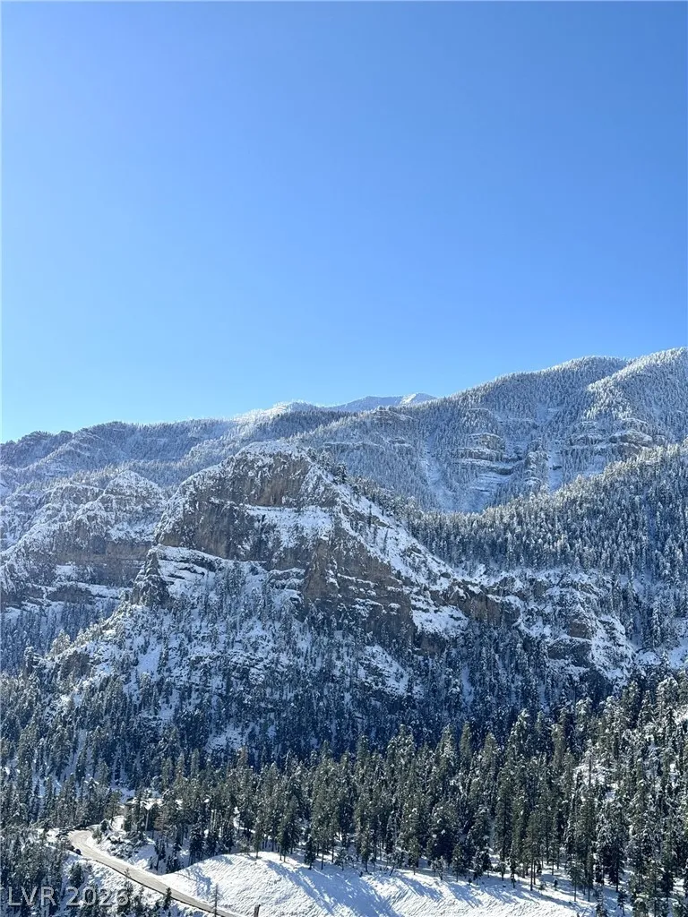 314 Alpine Way Mount Charleston, NV 89124