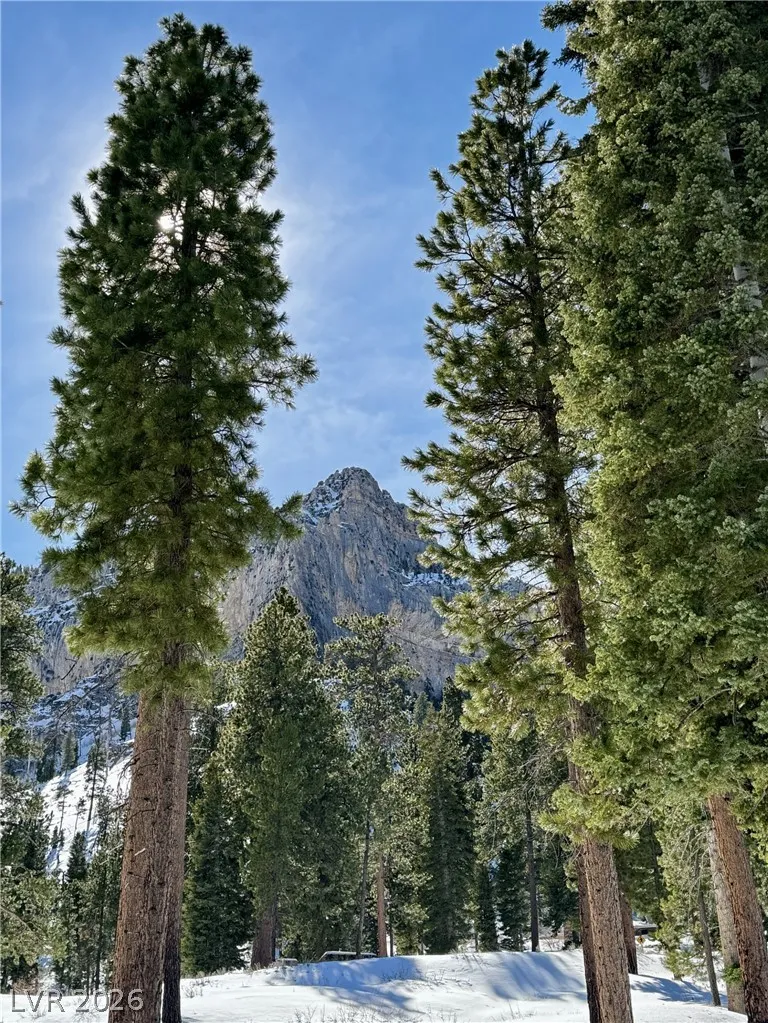 314 Alpine Way Mount Charleston, NV 89124