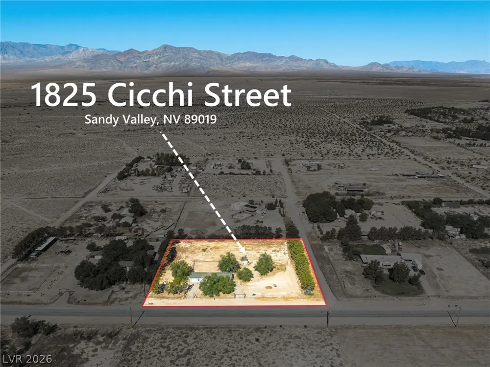 1825 Cicchi Street Sandy Valley, NV 89019
