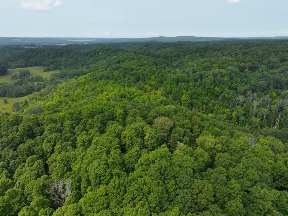 40 Lambdin Road East Jordan, MI 49727