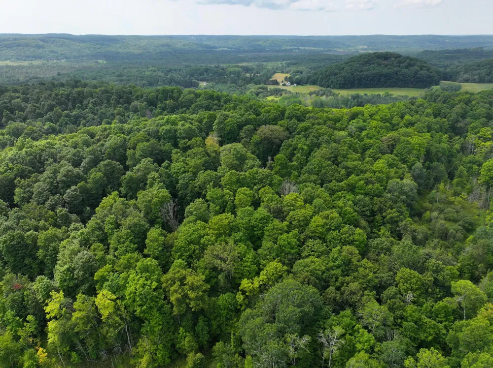 40 Lambdin Road East Jordan, MI 49727