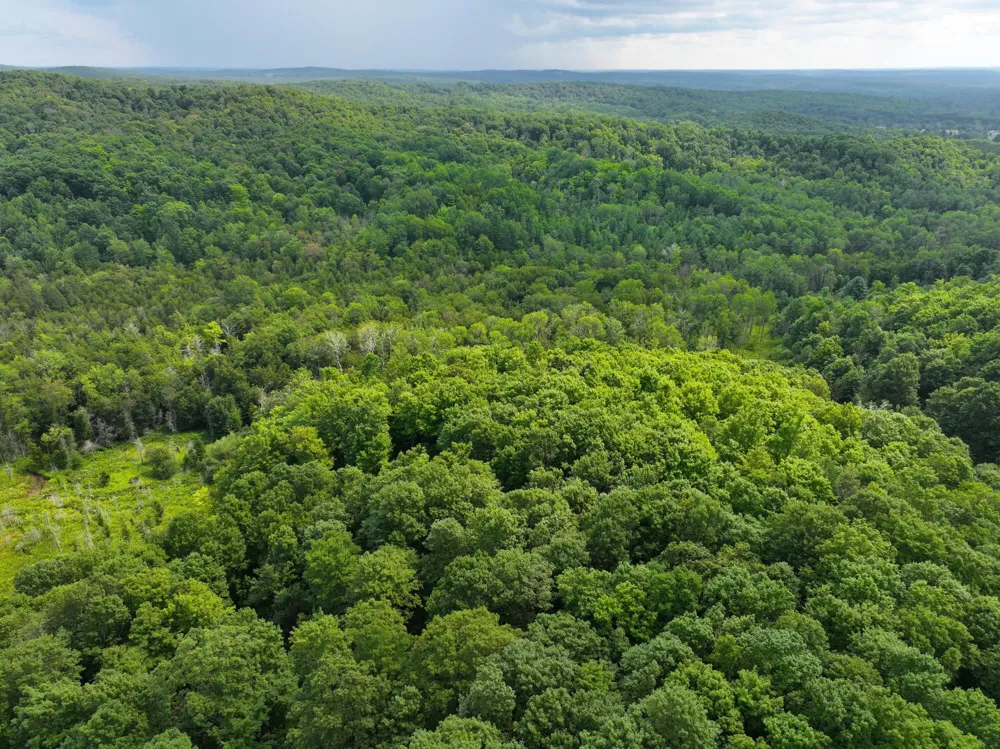 40 Lambdin Road East Jordan, MI 49727