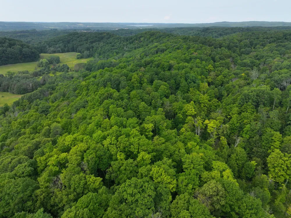 40 Lambdin Road East Jordan, MI 49727