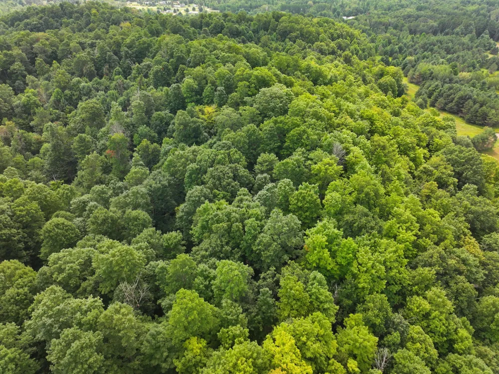 40 Lambdin Road East Jordan, MI 49727