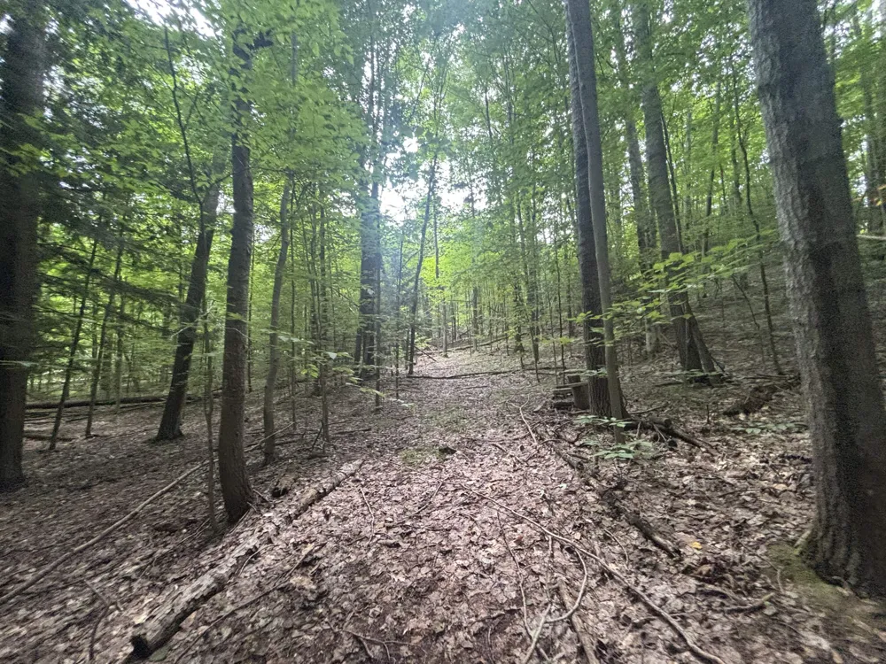 40 Lambdin Road East Jordan, MI 49727