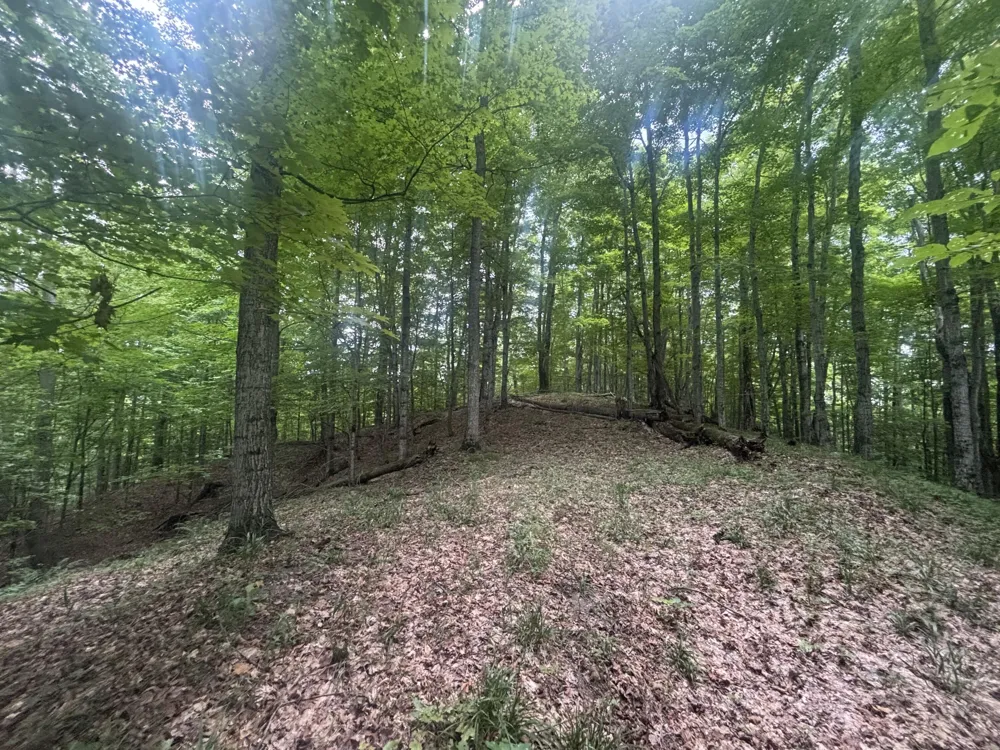 40 Lambdin Road East Jordan, MI 49727