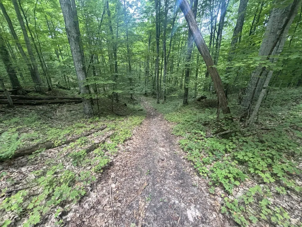 40 Lambdin Road East Jordan, MI 49727