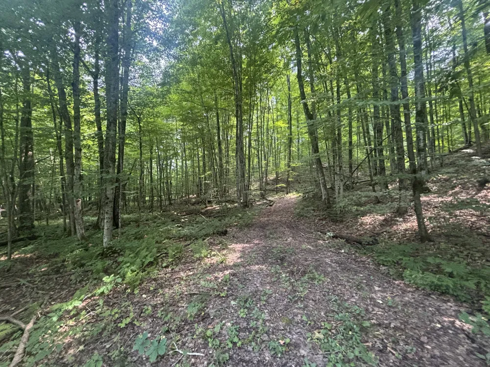 40 Lambdin Road East Jordan, MI 49727