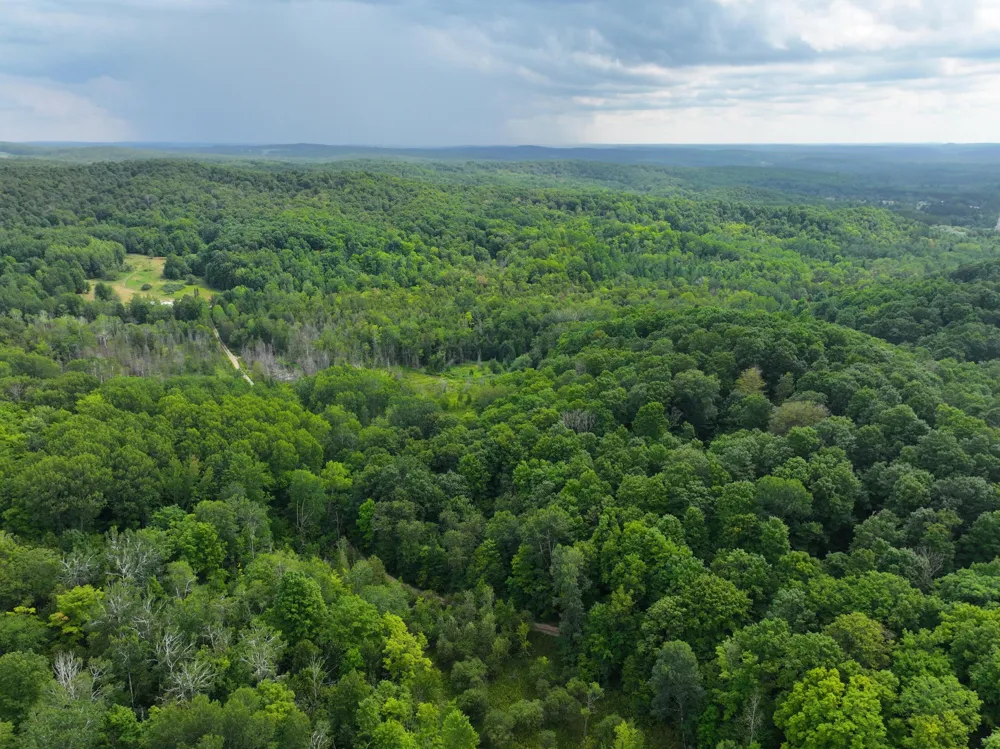40 Lambdin Road East Jordan, MI 49727
