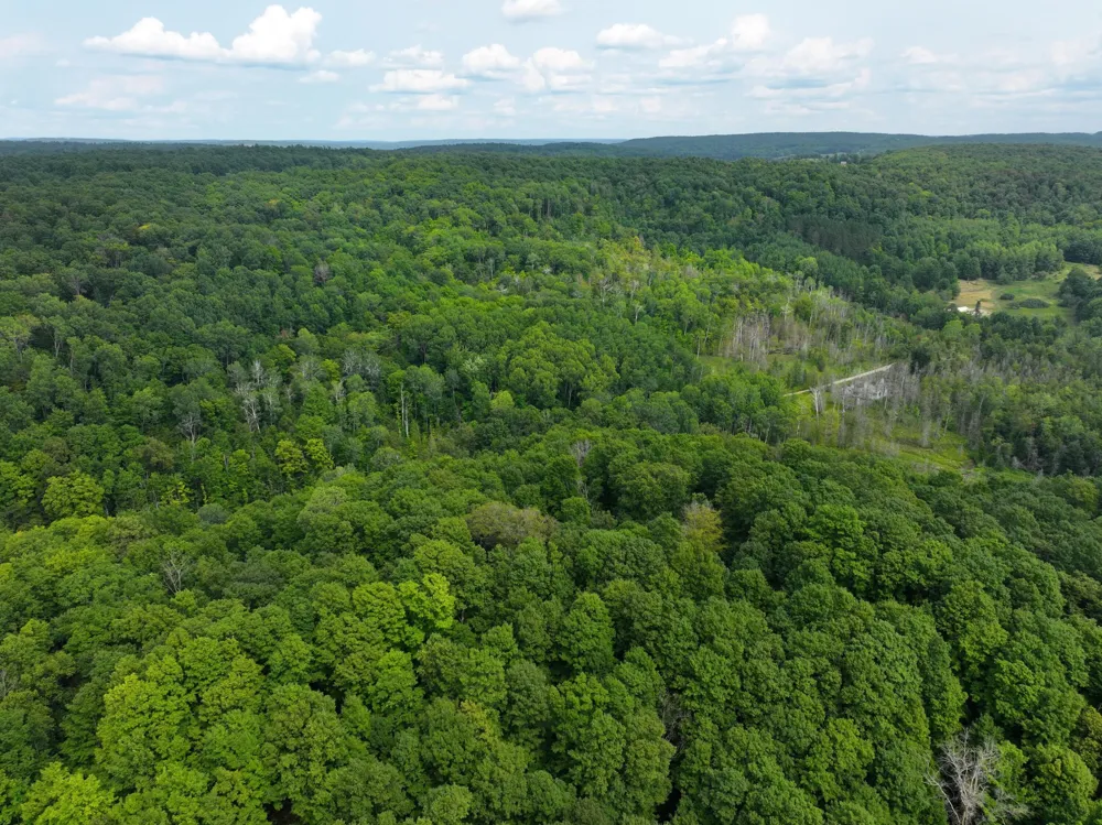 40 Lambdin Road East Jordan, MI 49727