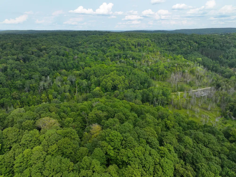 40 Lambdin Road East Jordan, MI 49727