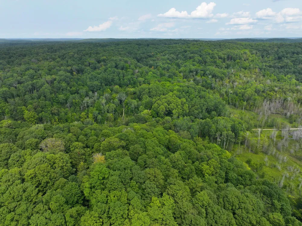 40 Lambdin Road East Jordan, MI 49727