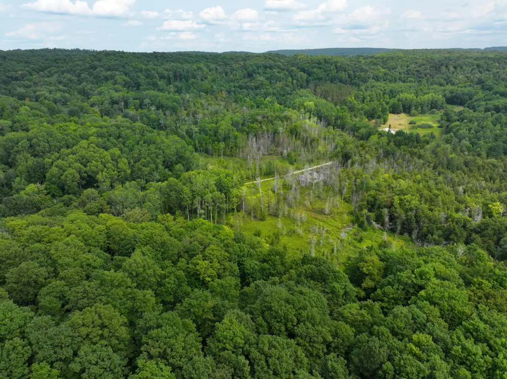 40 Lambdin Road East Jordan, MI 49727