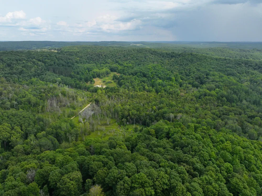 40 Lambdin Road East Jordan, MI 49727