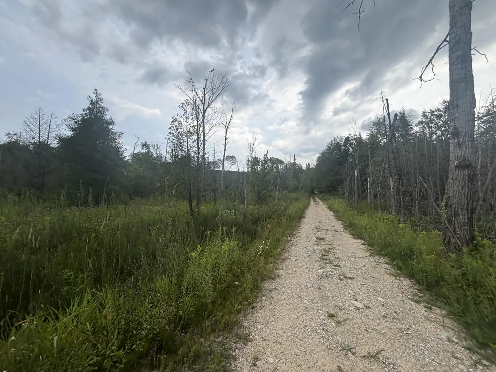 40 Lambdin Road East Jordan, MI 49727