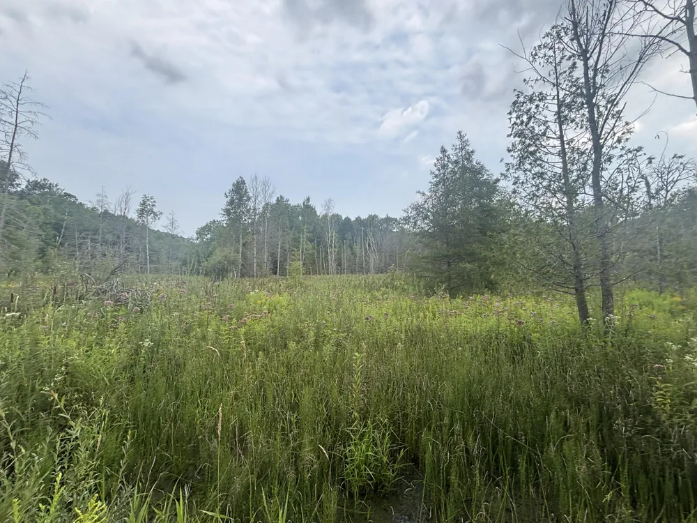 40 Lambdin Road East Jordan, MI 49727