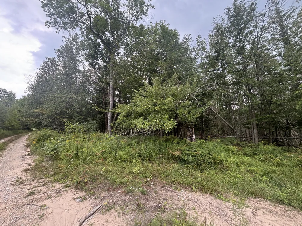 40 Lambdin Road East Jordan, MI 49727