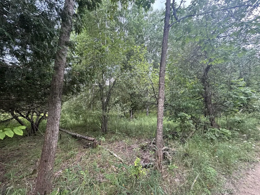 40 Lambdin Road East Jordan, MI 49727