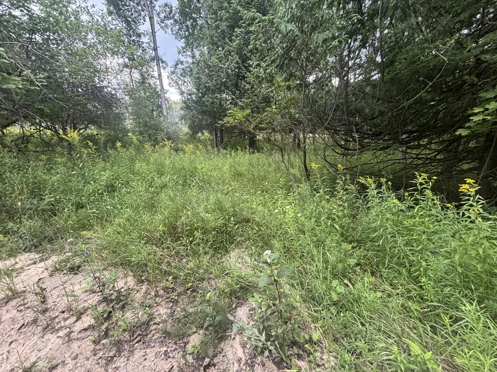40 Lambdin Road East Jordan, MI 49727