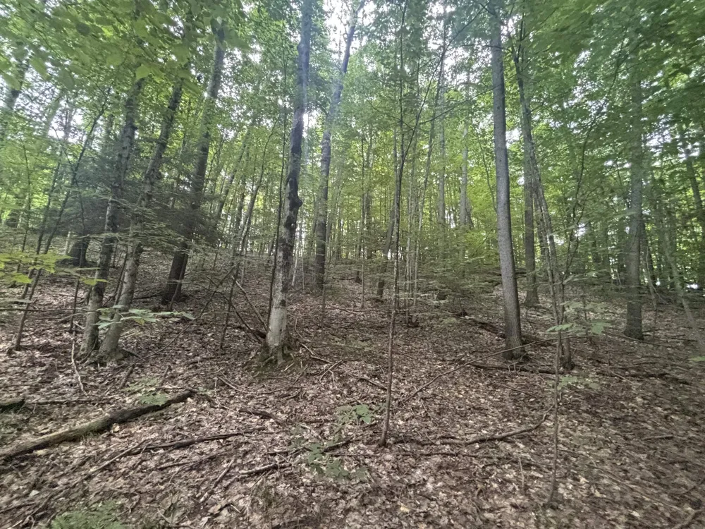 40 Lambdin Road East Jordan, MI 49727