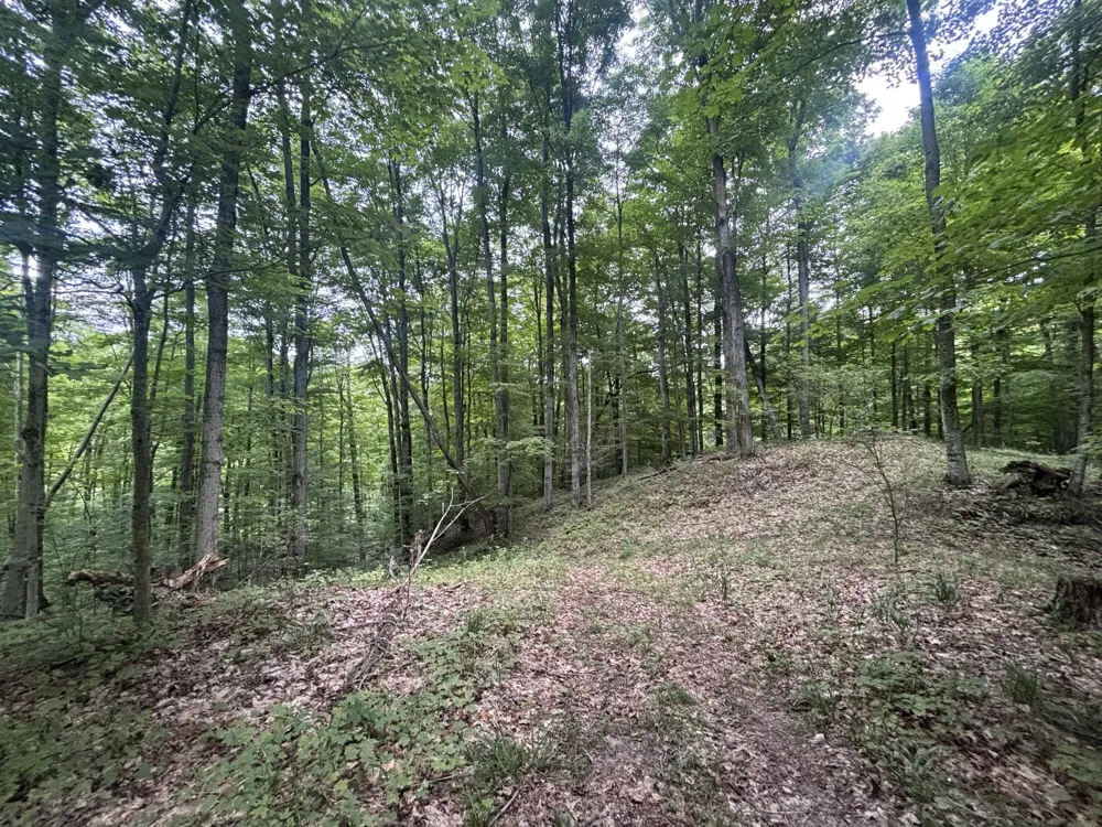 40 Lambdin Road East Jordan, MI 49727