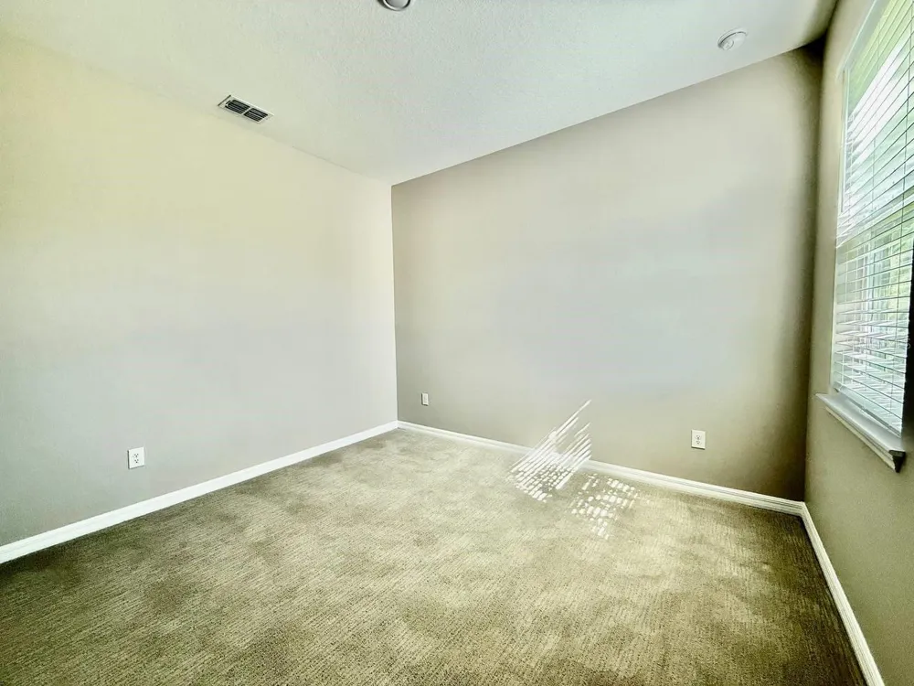 34329 EVERGREEN HILL COURT Wesley Chapel, FL 33545