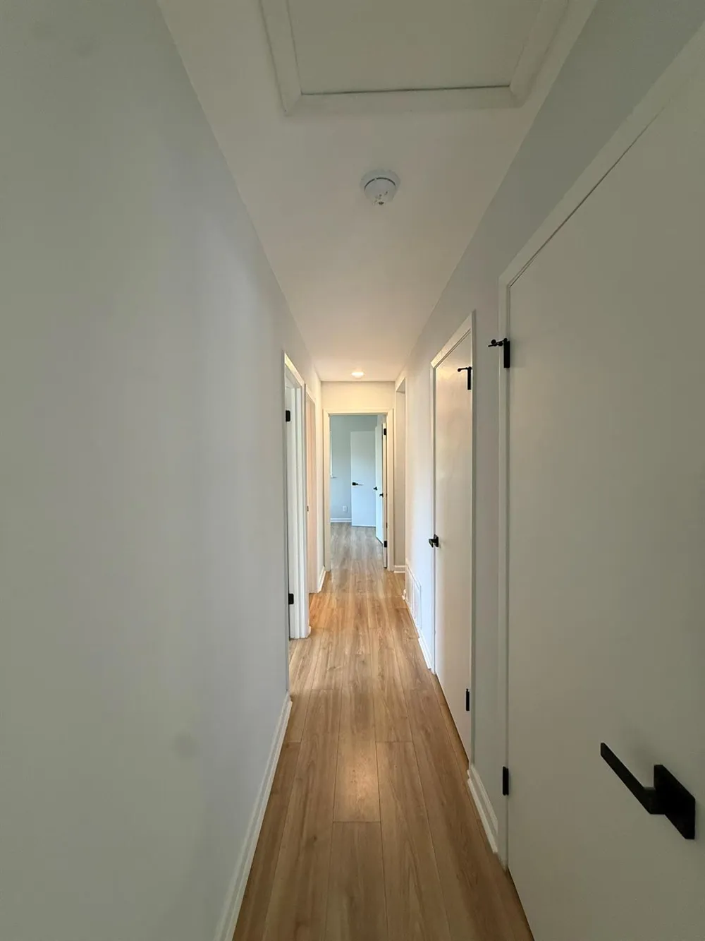 509 Ramble Lane Austin, TX 78745