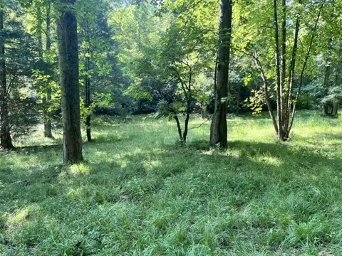 lot 9 S Dogwood