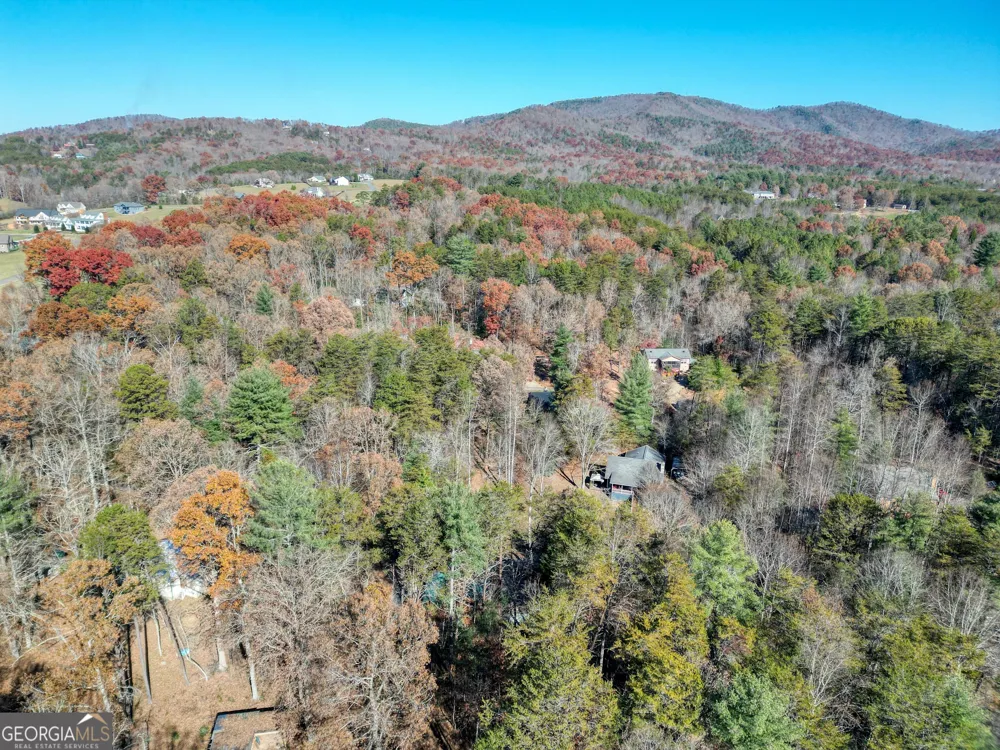 518 Rizzitello LN Blairsville, GA 30512