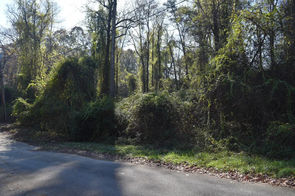 6830 Buck Trail Drive Harrison, TN 37341