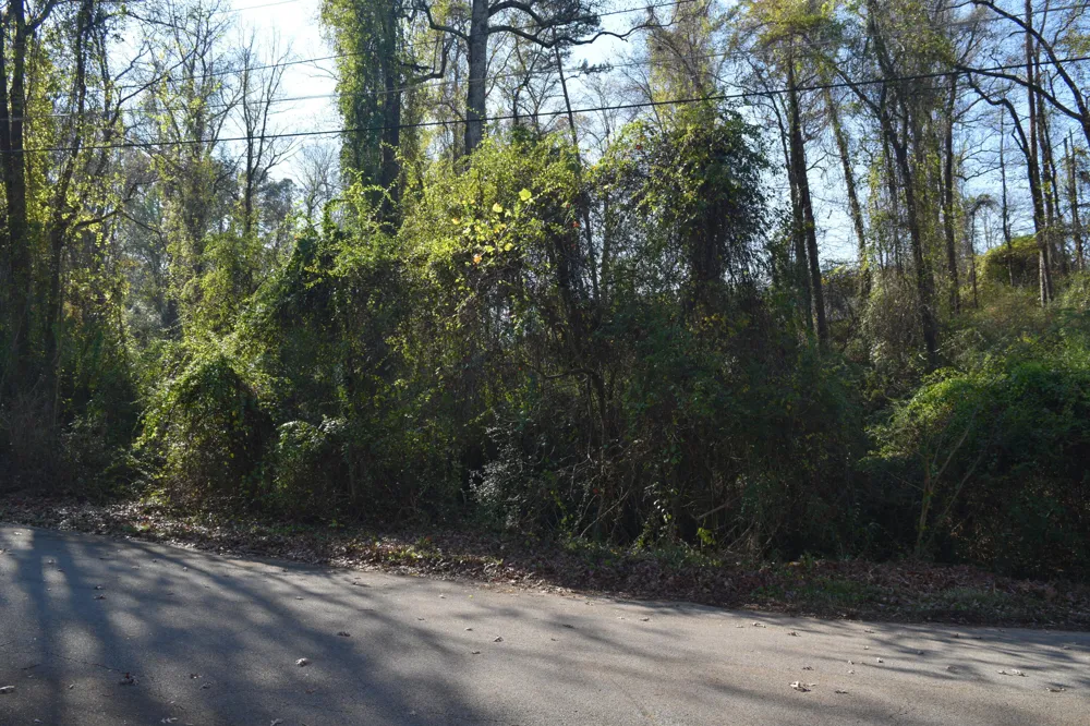 6830 Buck Trail Drive Harrison, TN 37341