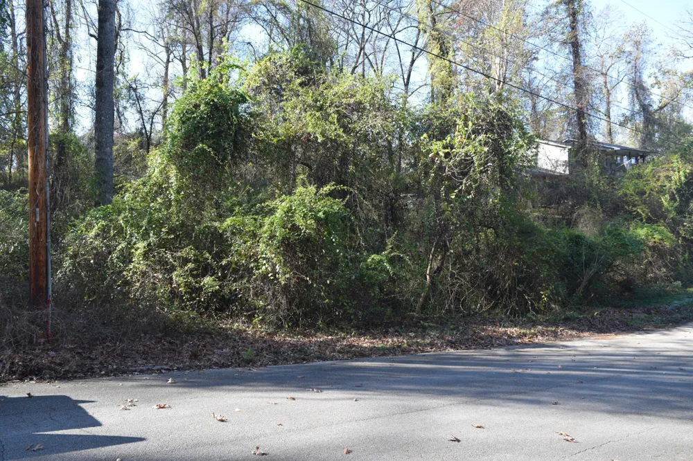 6830 Buck Trail Drive Harrison, TN 37341