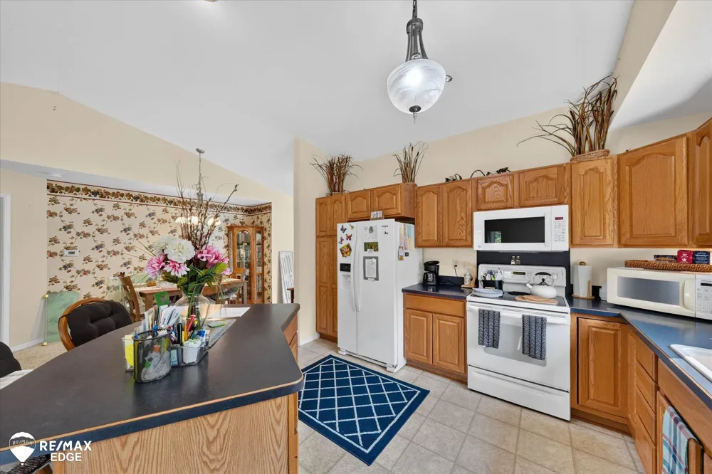 1137 Jenna Drive Davison Township, MI 48423