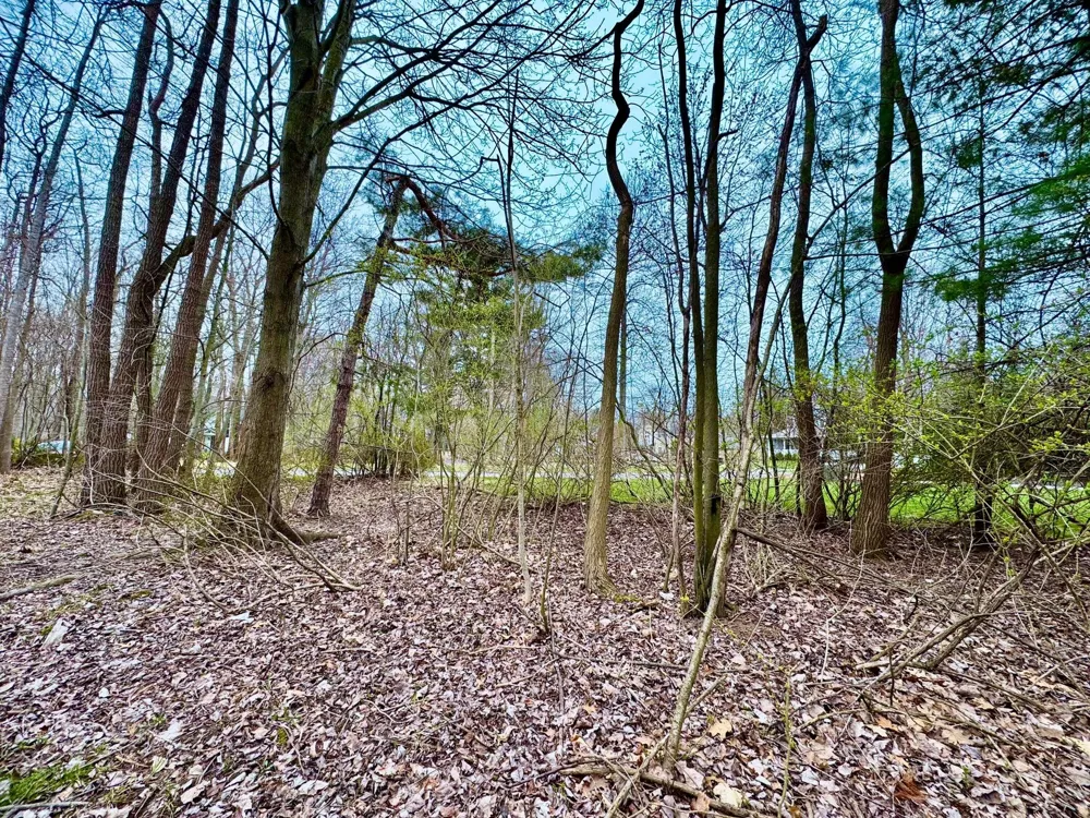125 W Shore Woods Drive Douglas, MI 49406