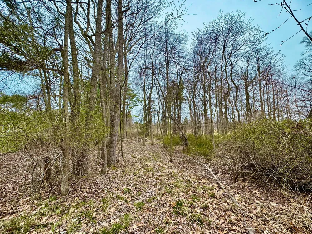 125 W Shore Woods Drive Douglas, MI 49406