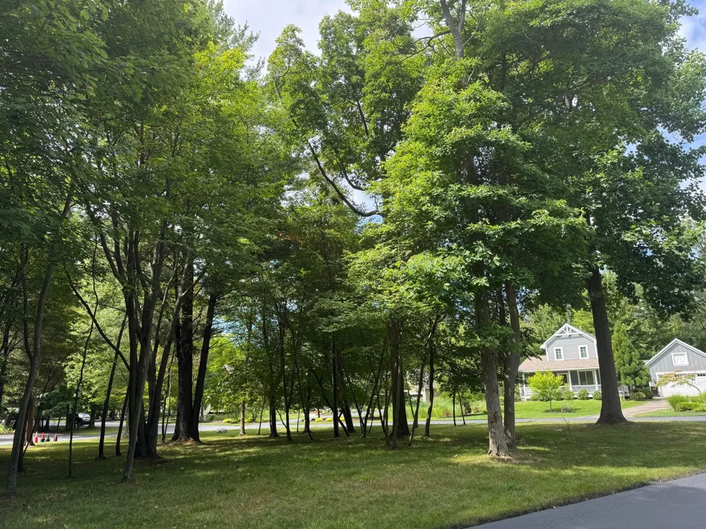 125 W Shore Woods Drive Douglas, MI 49406