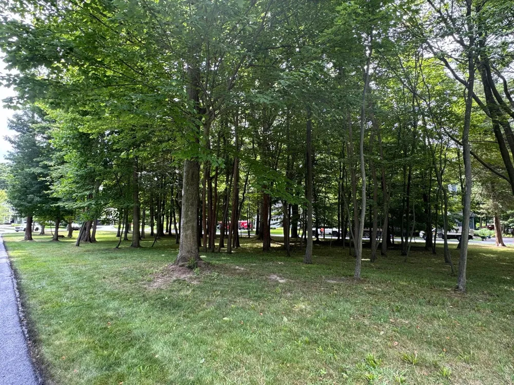 125 W Shore Woods Drive Douglas, MI 49406