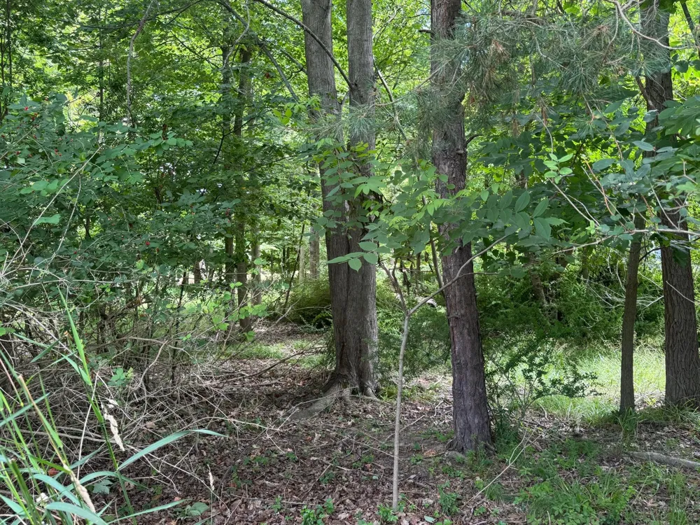 125 W Shore Woods Drive Douglas, MI 49406