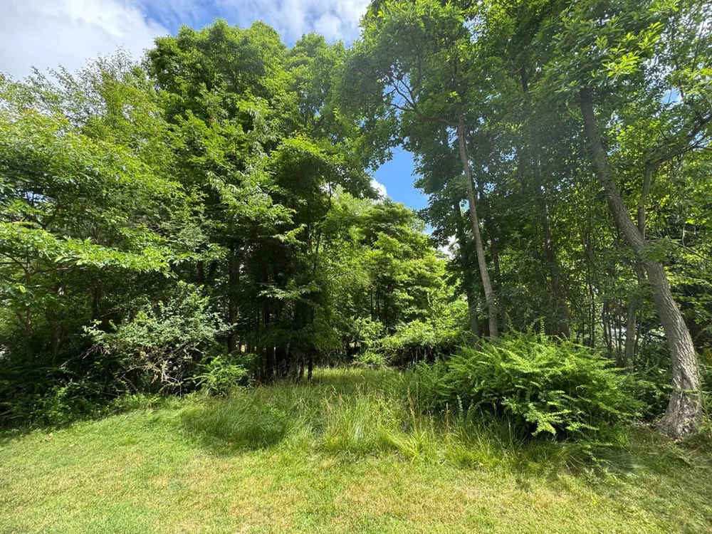 125 W Shore Woods Drive Douglas, MI 49406