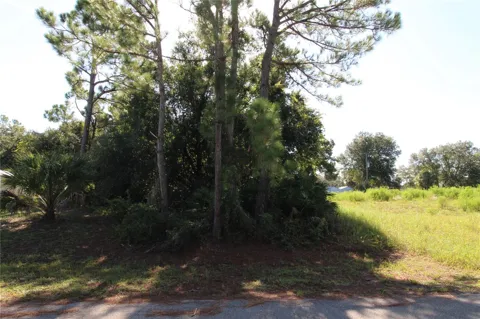 CHAMRADE ROAD